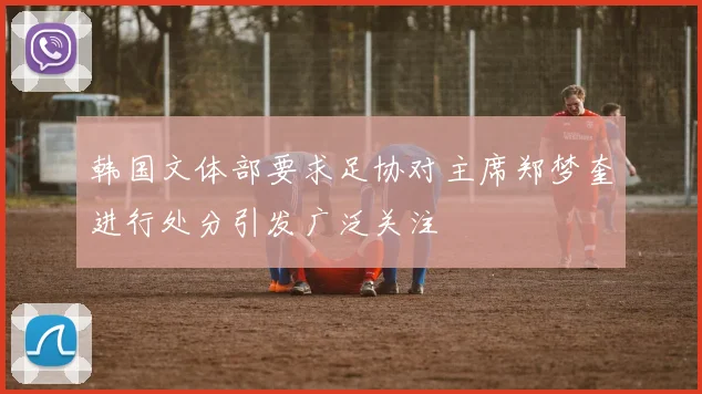 韩国文体部要求足协对主席郑梦奎进行处分引发广泛关注